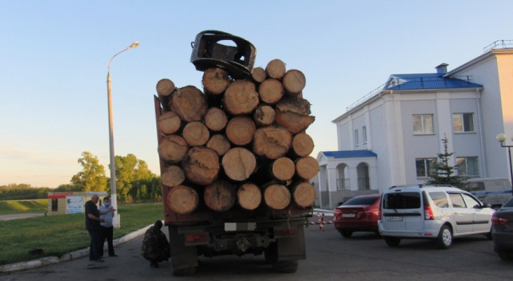 Лесник тайно продал целый КамАЗ сосен из чувашского леса Лесник тайно продал целый КамАЗ сосен из чувашского леса