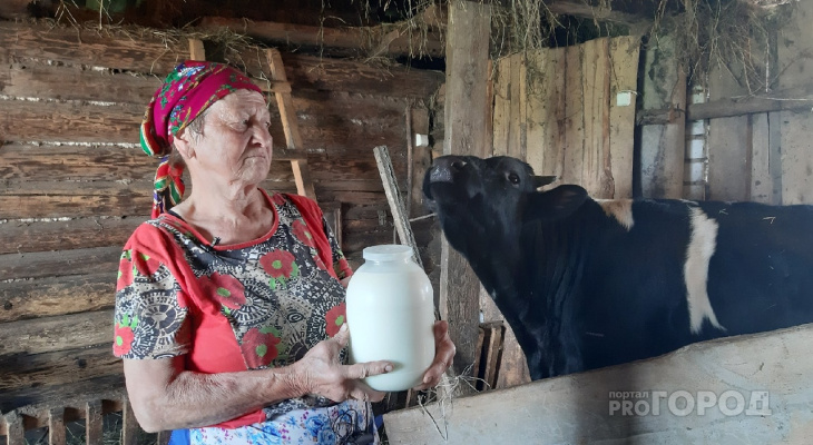 Владелица коров из Синьял: "30 лет скот держу, впервые деньги дадут"