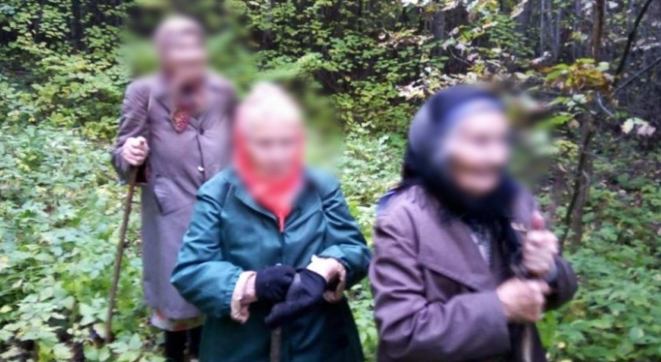 В Чувашии бабушки потерялись в лесу, но не бросили корзинки с опятами