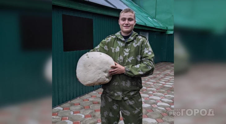 Гриб-гигант нашли в Шемуршинском районе