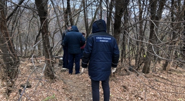Появилась версия по делу об убийстве новорожденной девочки в Чебоксарах Появилась версия по делу об убийстве новорожденной девочки в Чебоксарах
