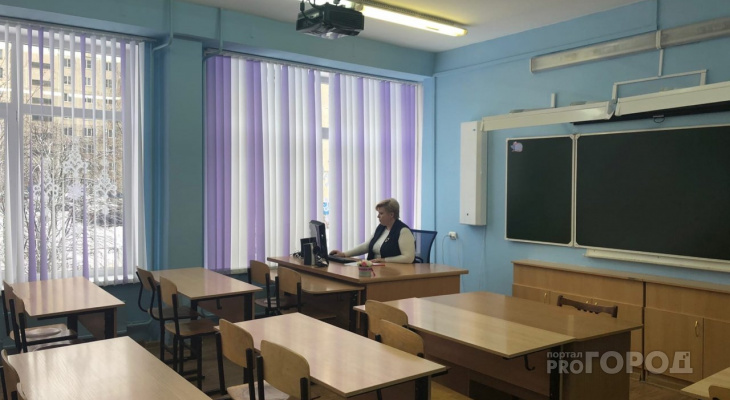 Ладыков отменил занятия во всех начальных школах Чебоксар