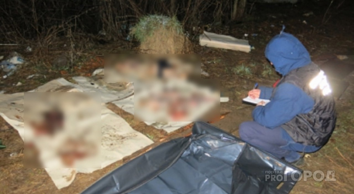 Пропавшего в Новый год мужчину нашли расчлененным Пропавшего в Новый год мужчину нашли расчлененным