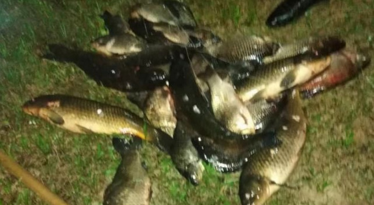 В Козловке семья браконьеров пыталась задавить полицейского и скрыться с рыбой