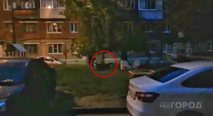 В Чебоксарах стая собак грызет кошек во дворах домов В Чебоксарах стая собак грызет кошек во дворах домов