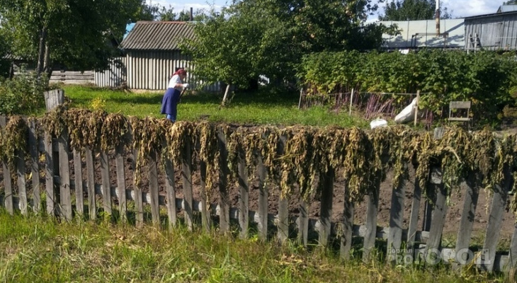 В Чувашии соседи судились за границу участка, а в итоге стали должны государству по 20-30 тысяч рублей В Чувашии соседи судились за границу участка, а в итоге стали должны государству по 20-30 тысяч рублей