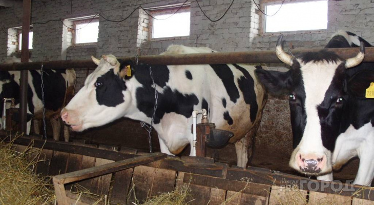 Один из молочных заводов в Чувашии стал банкротом