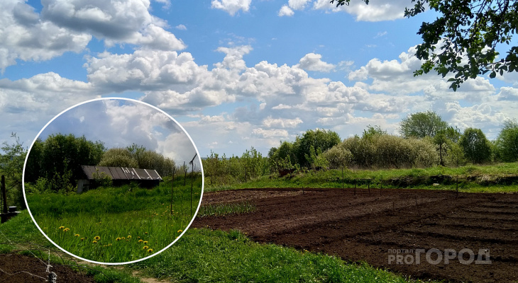 Почти во всех регионах дачи подорожали, а в Чувашии подешевели Почти во всех регионах дачи подорожали, а в Чувашии подешевели