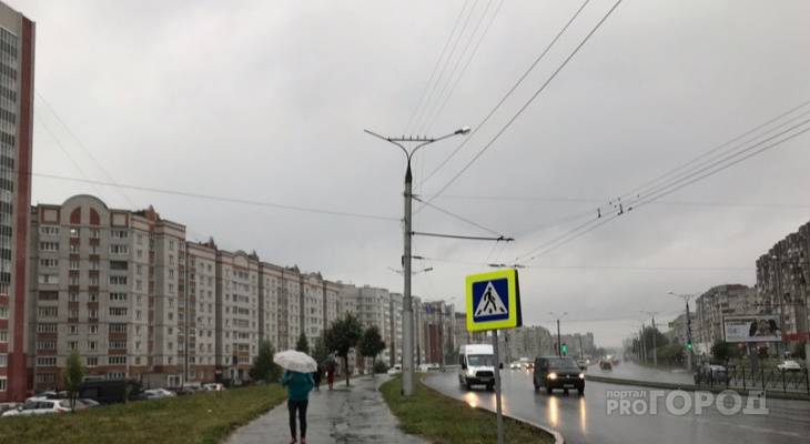 Жителей Чувашии предупреждают о приближении ливня с сильным ветром через час Жителей Чувашии предупреждают о приближении ливня с сильным ветром через час