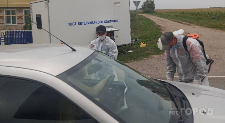 В Моргаушском районе обнаружили африканскую чуму свиней: территорию закрыли на карантин В Моргаушском районе обнаружили африканскую чуму свиней: территорию закрыли на карантин