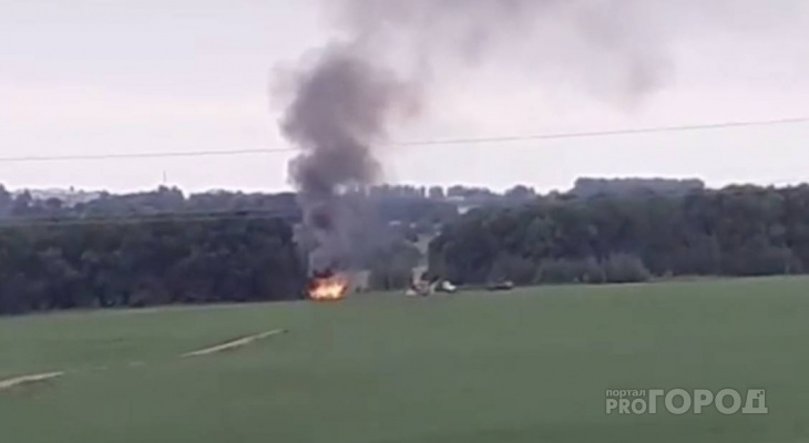 В Аликовском районе людям пришлось сжечь 200 здоровых свиней В Аликовском районе людям пришлось сжечь 200 здоровых свиней