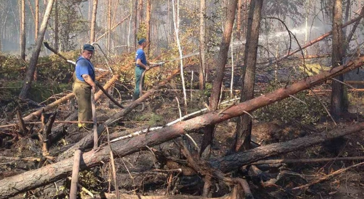 Спустя неделю пожар в Присурском заповеднике полностью потушили