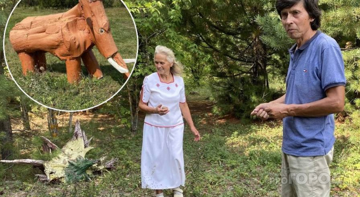 Супруги из Красноармейского района на собственные деньги построили этнопарк: раздают кедры и лечатся ими Супруги из Красноармейского района на собственные деньги построили этнопарк: раздают кедры и лечатся ими