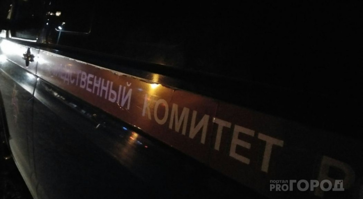 В Чувашии ищут женщину, которая задушила новорожденного ребенка проводом от наушников В Чувашии ищут женщину, которая задушила новорожденного ребенка проводом от наушников