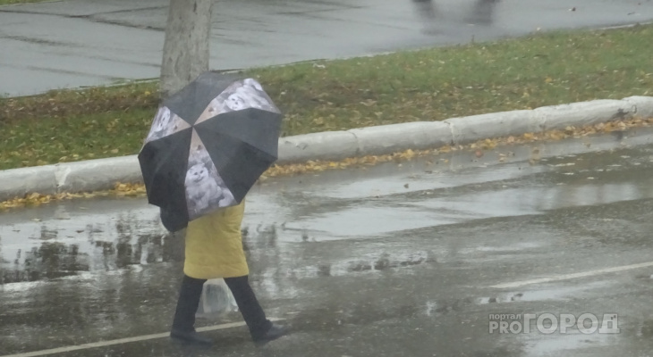 Синоптики о погоде в Чувашии на завтра: "Лучше не оставлять зонтик дома"