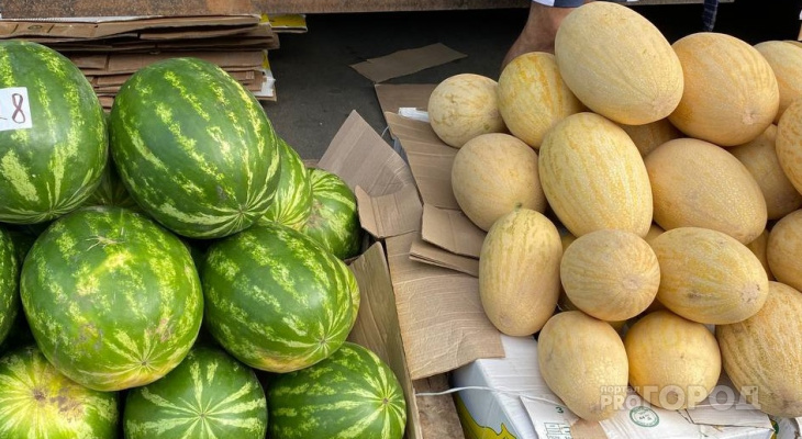 Житель Чувашии оформил прописку четверым иностранцам за арбузы и дыни
