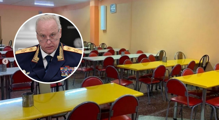 Бастрыкин поручил расследовать отравление школьников в Новочебоксарске Бастрыкин поручил расследовать отравление школьников в Новочебоксарске