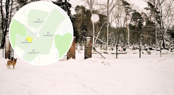 В Чебоксарах выбрали место для строительства крематория