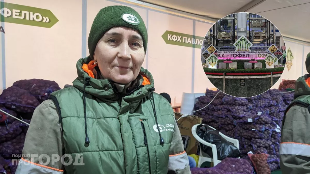 Десятки тонн картофеля продали в Чебоксарах за два дня: как прошла ярмарка и что на ней можно было найти, кроме картошки