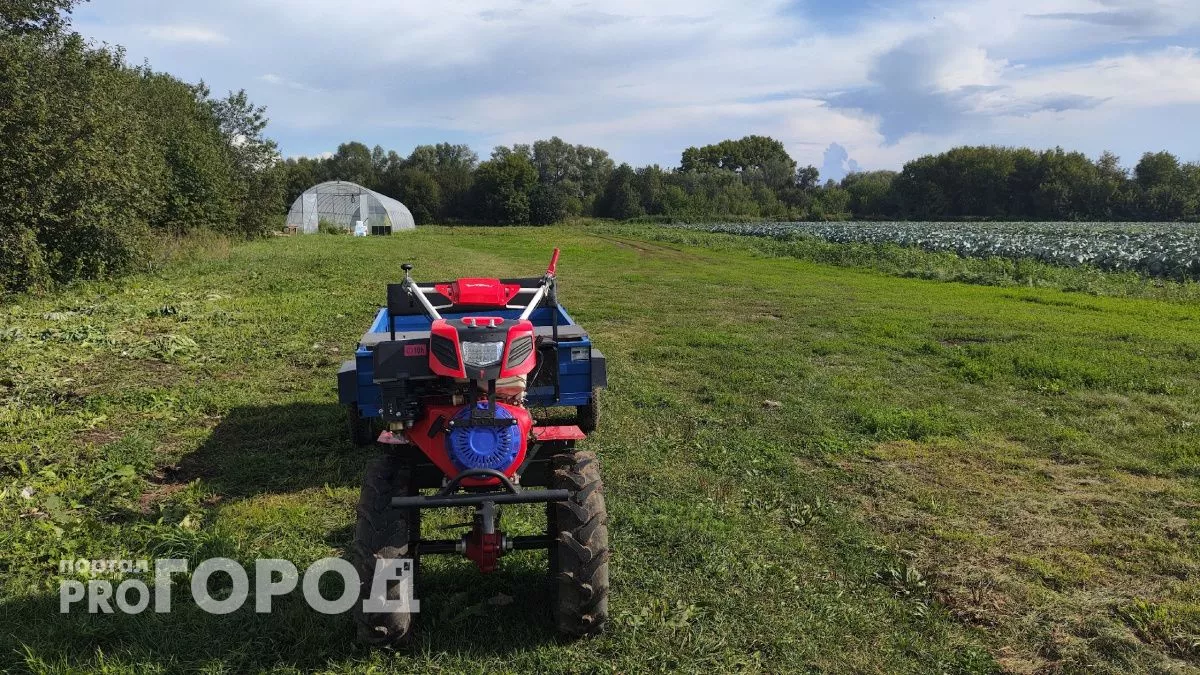 Чувашские фермеры могут застраховать себя от неурожая и получить дополнительные субсидии