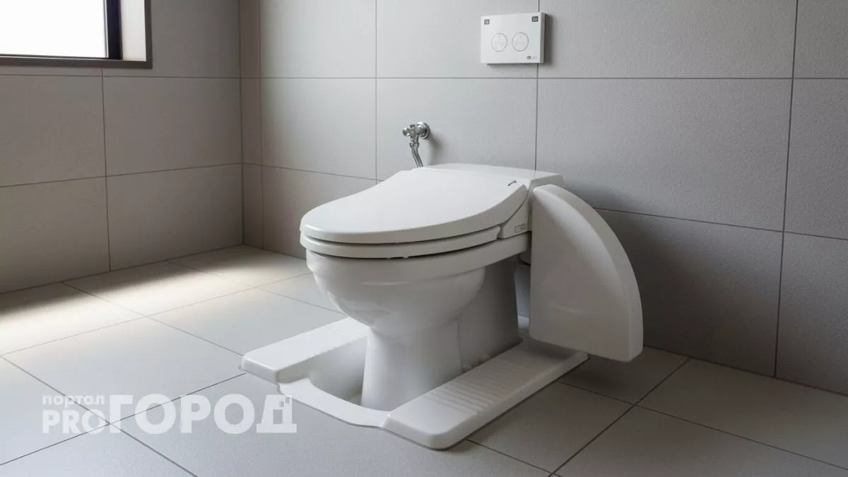 Японцы сидят на унитазе лицом к стене – эта привычка решает проблемы, о которых мы не думаем