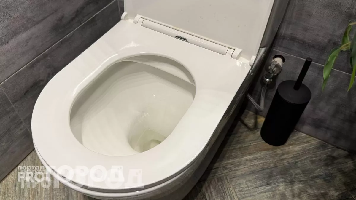 После одного случая всегда опускаю крышку унитаза и всем советую: почему нельзя оставлять открытым