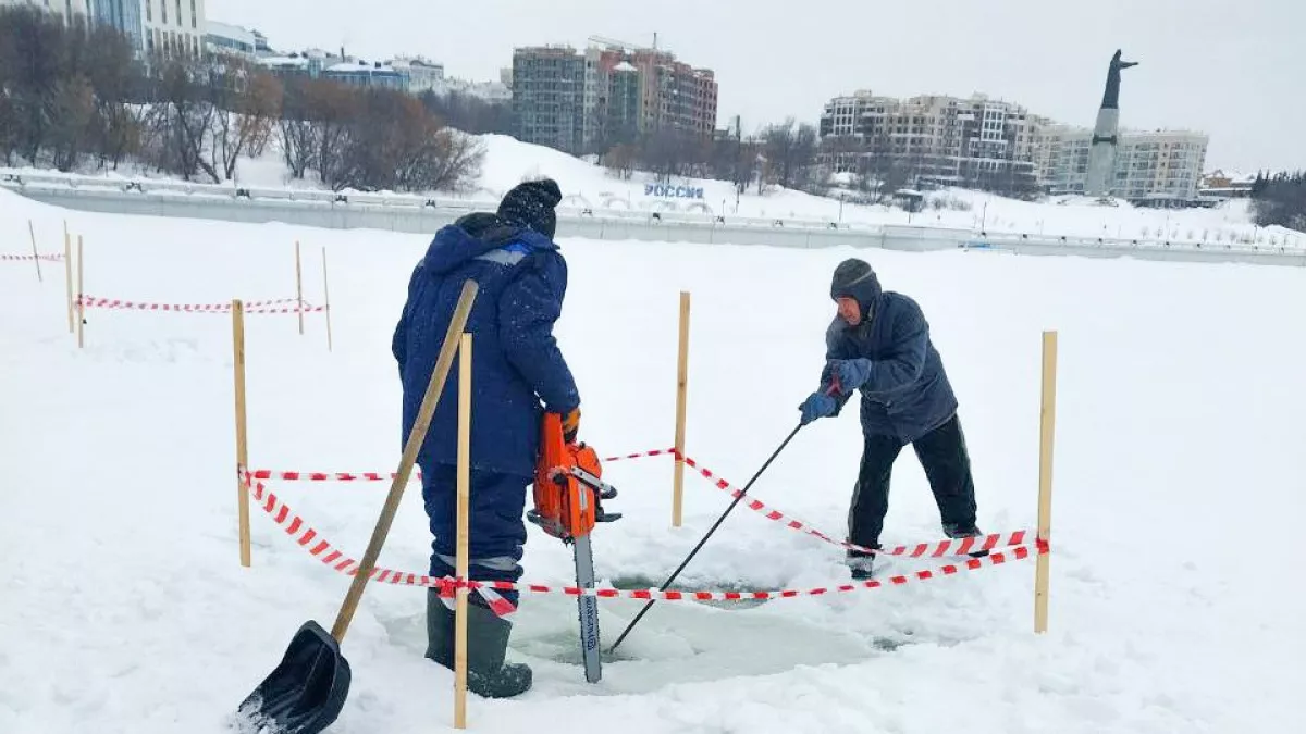 Чебоксарский "Горсвет" взялся за состояние рыб в Заливе