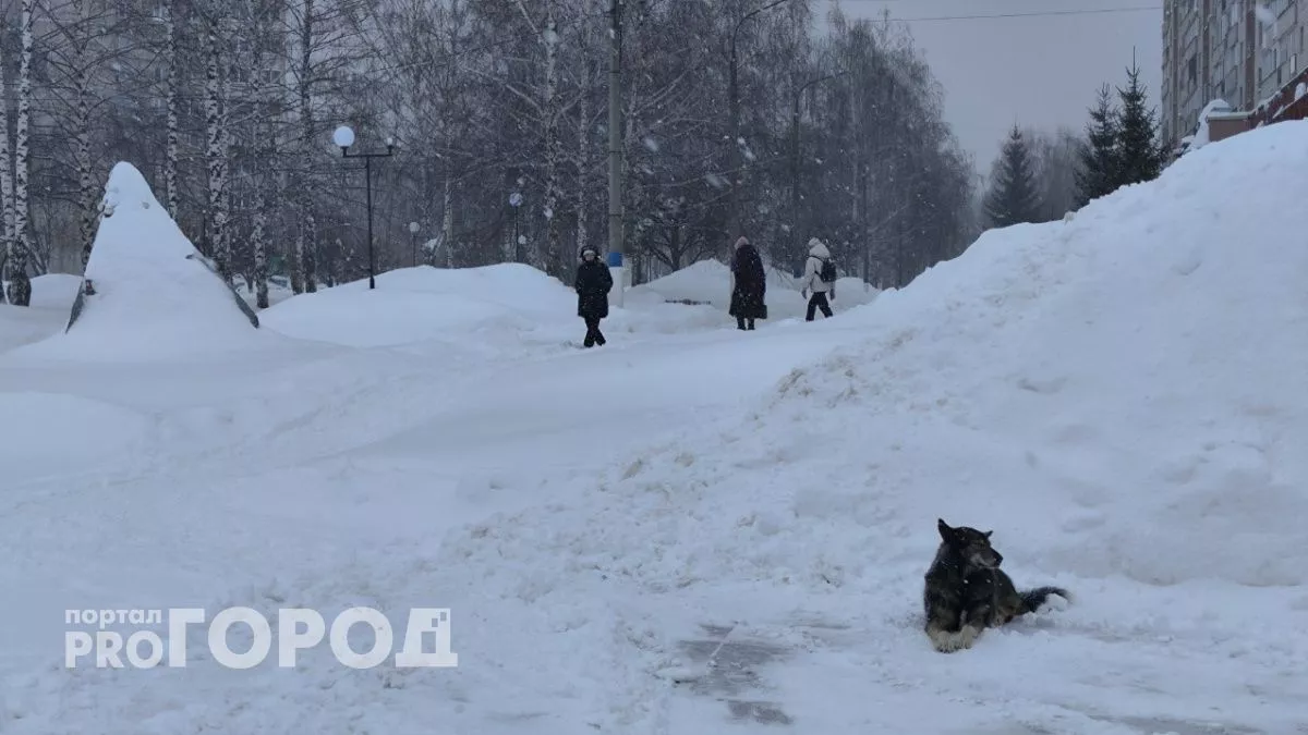 Во вторник ночью в Чувашии будет морозная погода, днем станет теплее