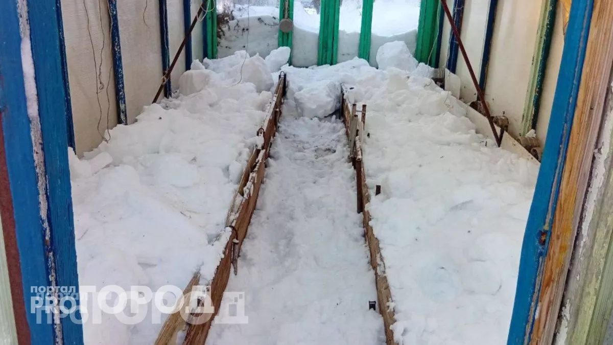 В марте обязательно наполняю теплицу снегом: земля отблагодарит богатым летним урожаем