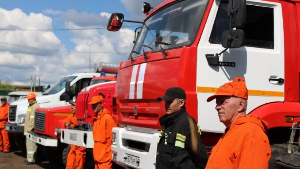 16 видеокамер будут следить за лесами Чувашии круглосуточно