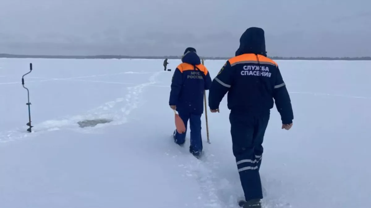 Спасатели обратились к жителям Чувашии: "Просим не рисковать"