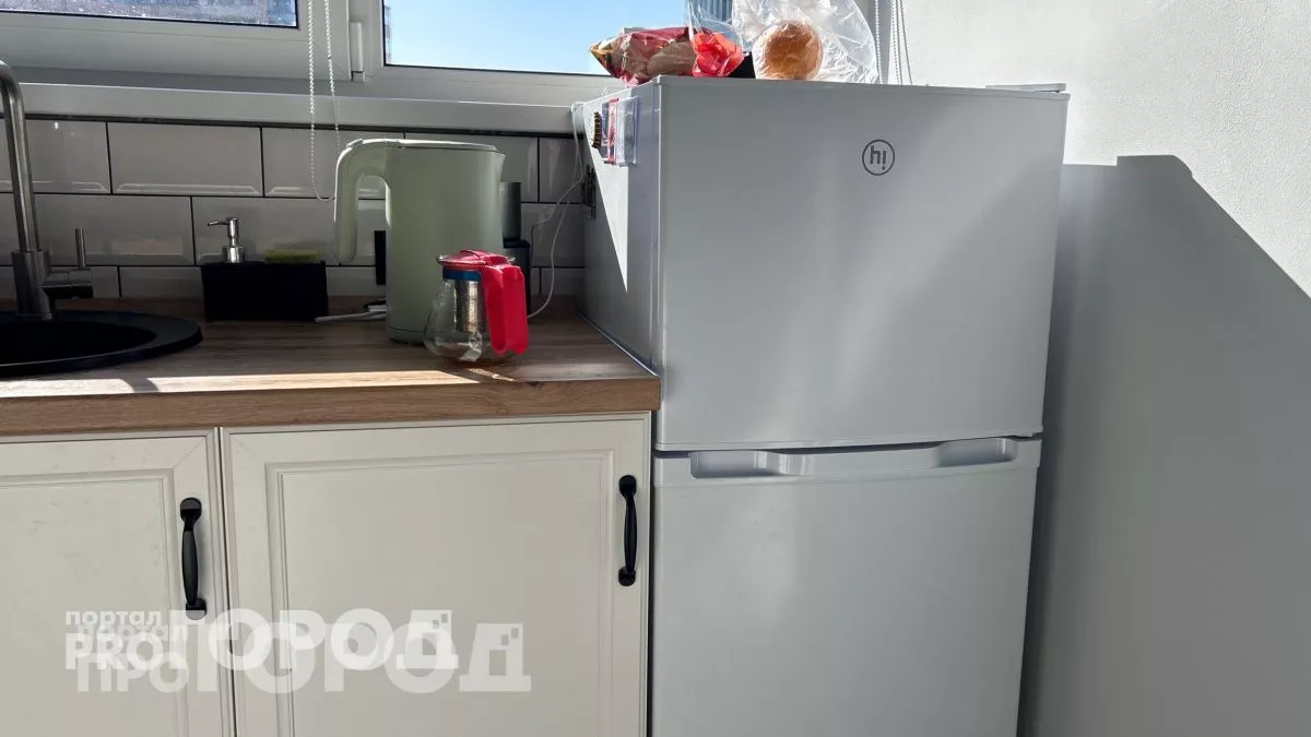 "Вот поэтому у тебя холодильник и ломается", – сказала мне мама, пожив у меня две недели: четыре ошибки 