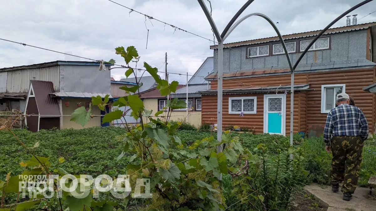 Толпа китайцев стояла у бабушкиного огорода и требовала продать им сорняк: "русское чудо", которое в России не ценят 