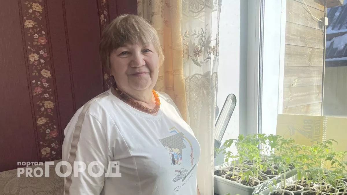 Эксперт по томатам из Чувашии рассказала, как вырастить здоровую рассаду без лишней химии и больших трат