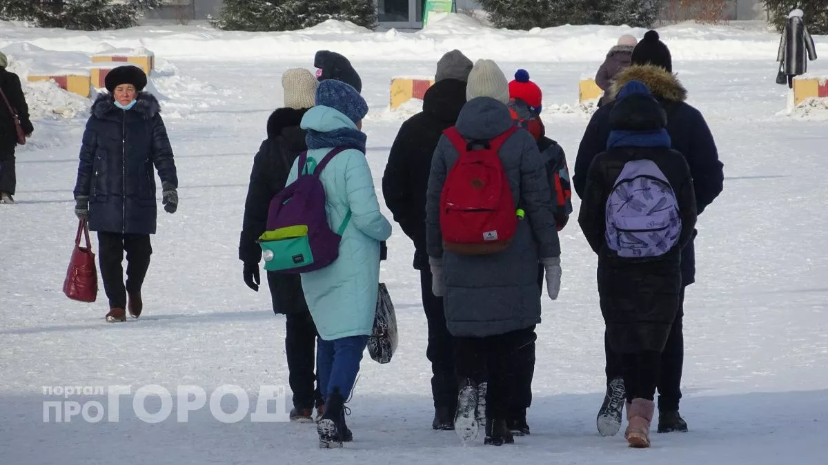 В Цивильском районе сразу по нескольким статьям осудили директора местной школы и ее сообщницу