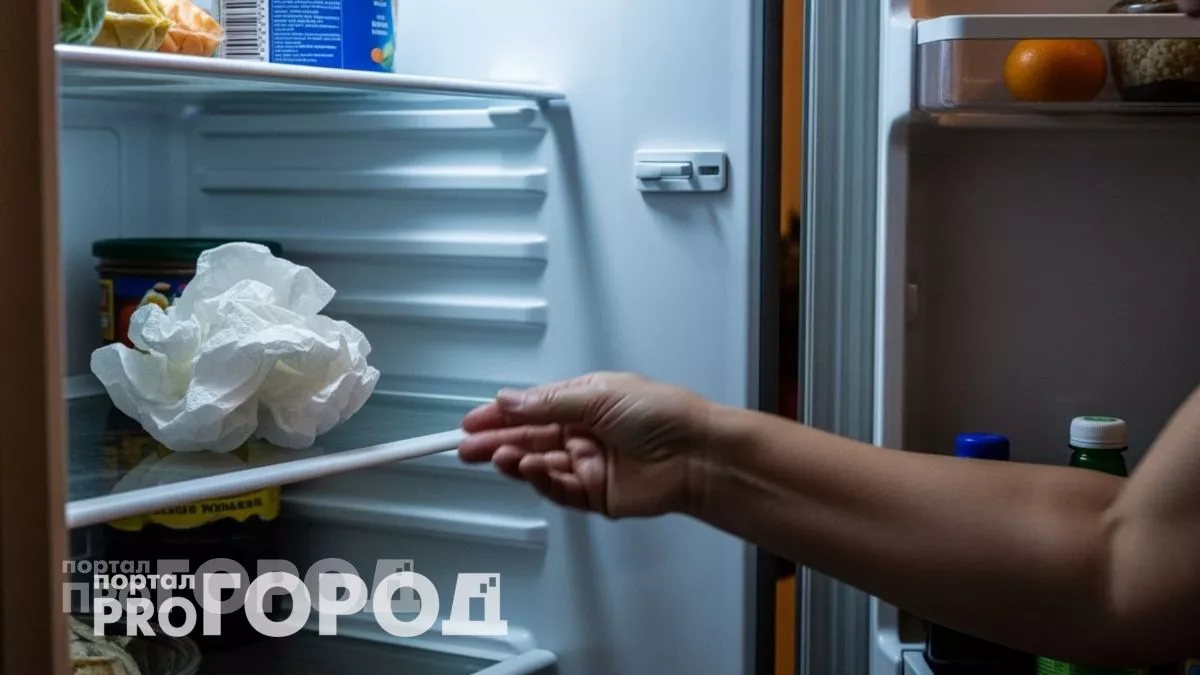 Сама бы не догадалась, подсказала соседка: теперь всегда кладу бумажные полотенца в холодильник – очень выручает