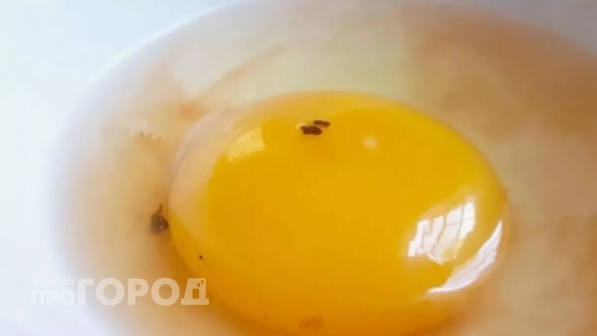 В желтке коричневое пятно – можно ли есть такое яйцо?