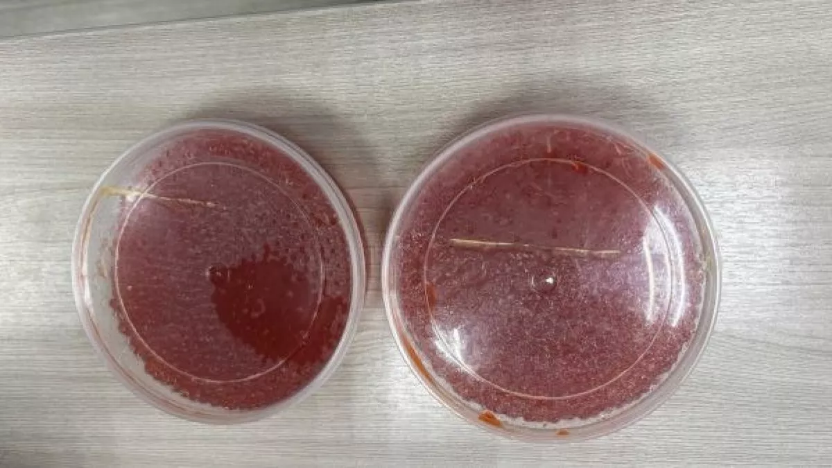 Угощал красной икрой, а затем крал деньги: в Чебоксарах задержали ушлого "родственника из Сахалина" 