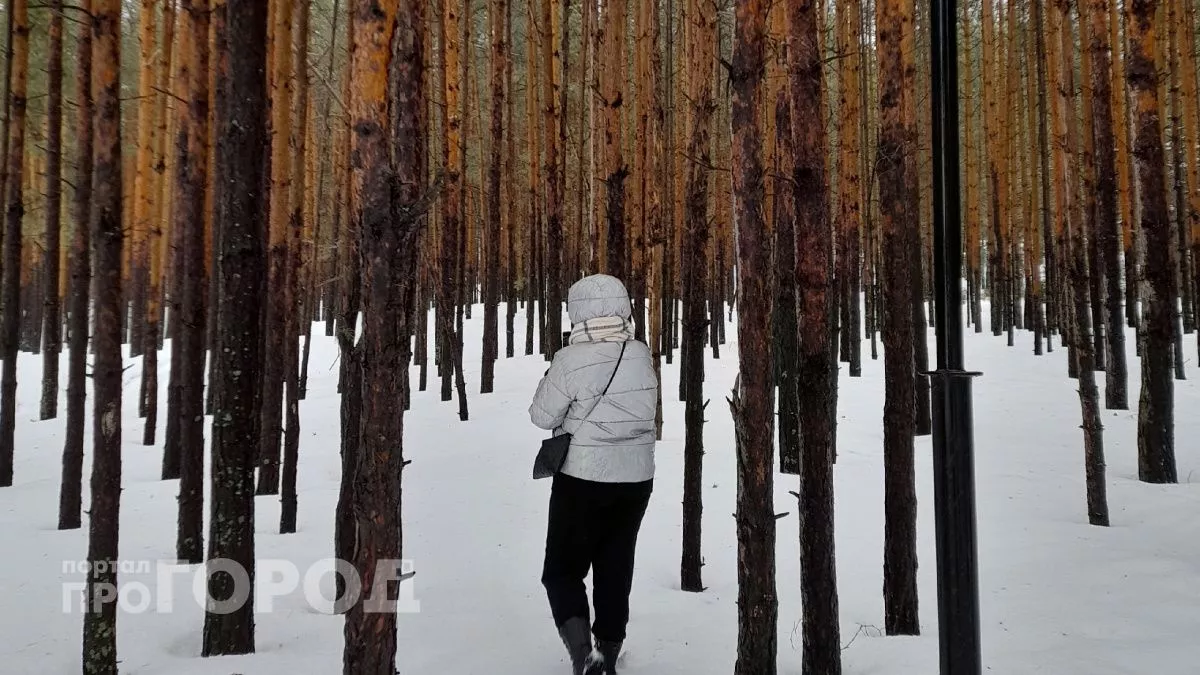 Леса Чувашии оказались уникальными для всей России: ученые изучат, как за 100 лет изменились растения региона