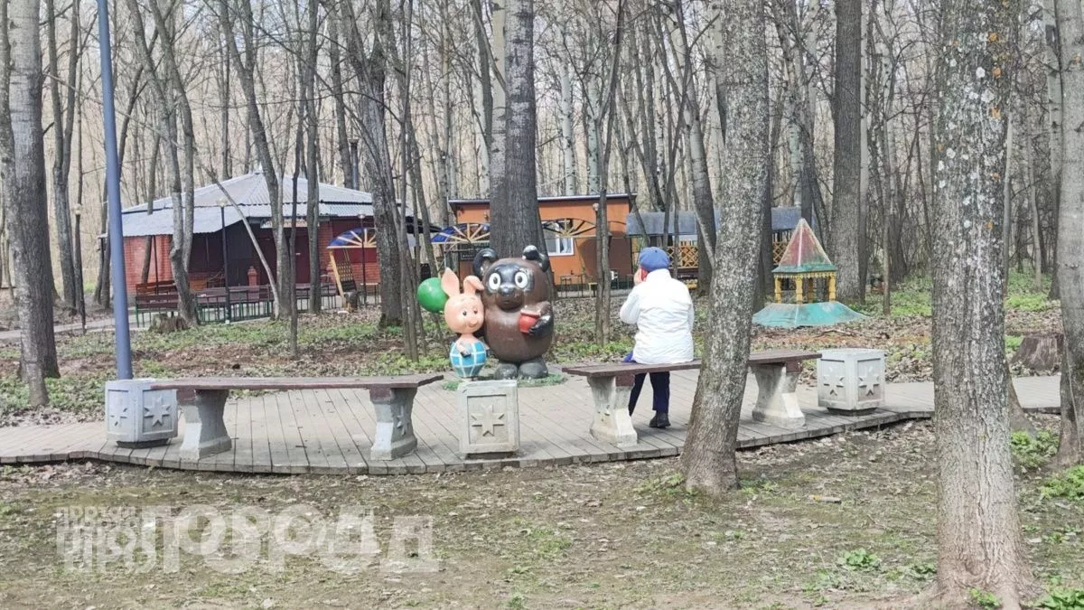 Весна удивит своей погодой: народные приметы уже показывают прогноз – всегда смотрю на 3 вещи