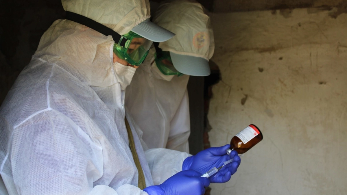 В Батыревском районе приступили к ликвидации подкарантинных животных 