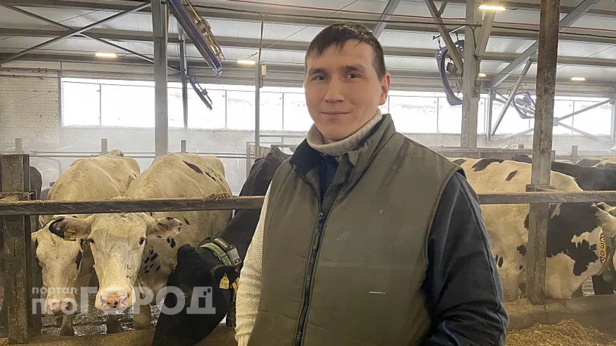 Ветеринар из Чувашии объяснил, как уберечь своих коров от опасных инфекций: “Главное - без суеты”
