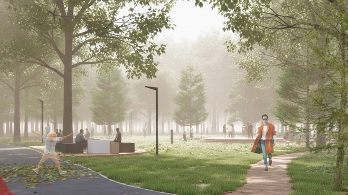 В Кугеси преобразят лесопарковую зону, где можно будет устраивать пикники и выгуливать собак