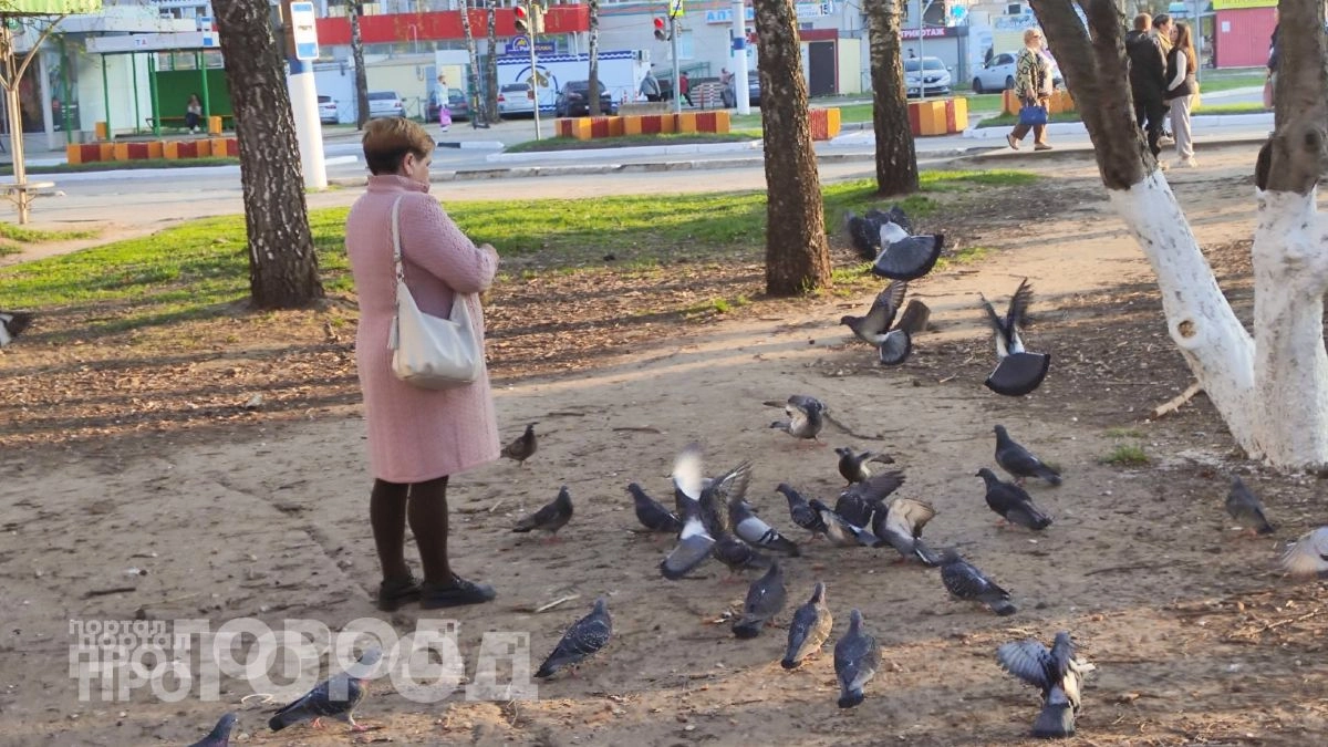 Под особой защитой: у людей с этими датами рождения самые мощные ангелы-хранители