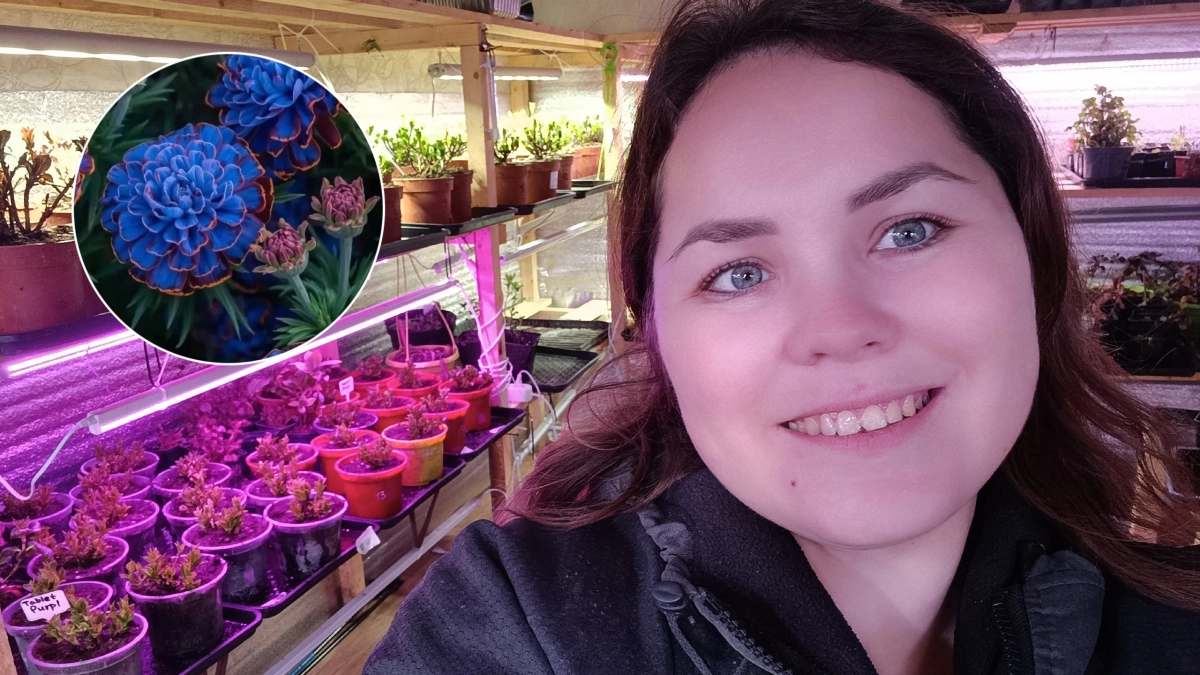 Агроном из Чувашии рассказала, как при покупке семян на маркетплейсах не попасть на мошенников: “В век ИИ и фотошопа обмануться очень легко"