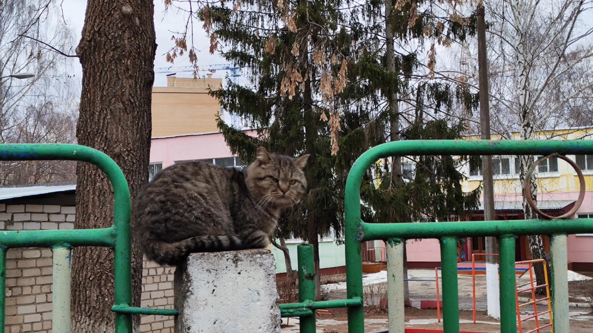 Рабочая неделя в Чувашии начнется с теплого весеннего дня