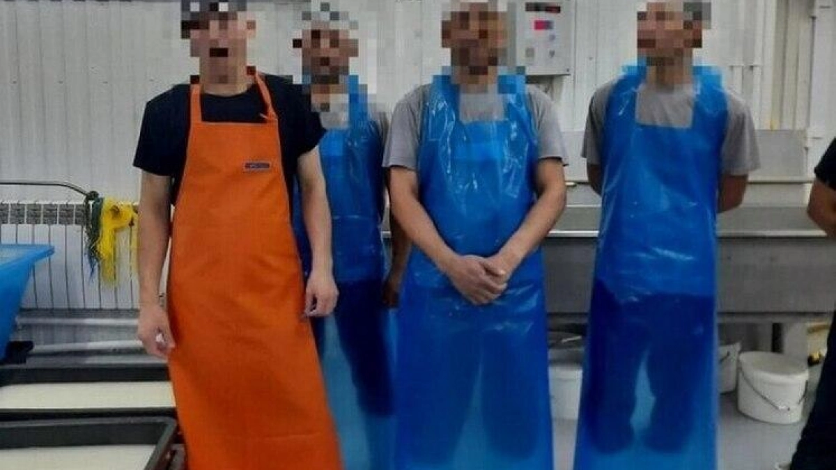 Рейды в Чувашии: 124 нарушения и семеро иностранцев под выдворением