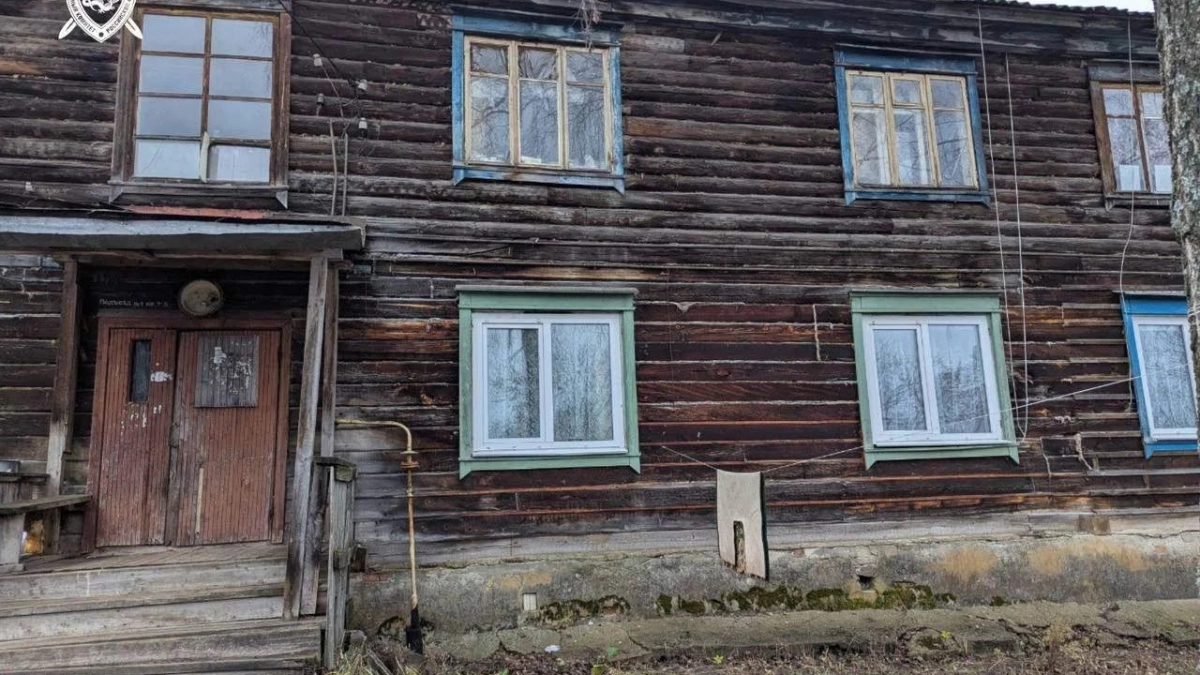 Пенсионерку из Шумерли обвиняют в убийстве