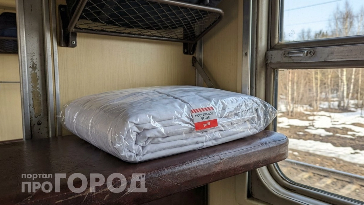 Теперь и это платно: россиян возмутило новое правило РЖД – хитрый "финт" или забота о пассажирах