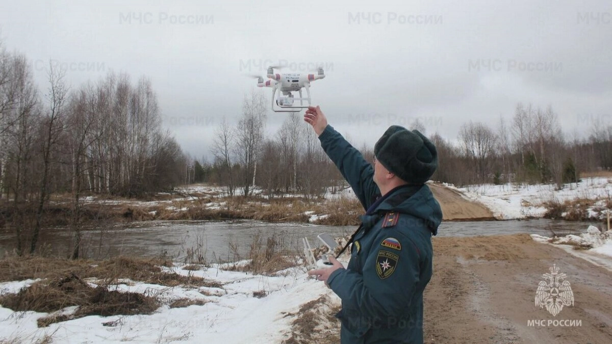 Чувашские леса будут патрулировать дроны и система видеонаблюдения до конца октября